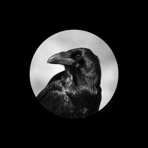 少妇性BBB搡BBB爽爽爽欧美
