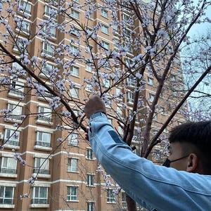 少妇性BBB搡BBB爽爽爽欧美
