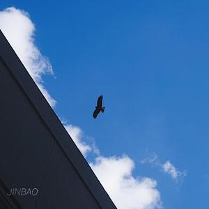 少妇性BBB搡BBB爽爽爽欧美
