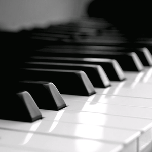 少妇性BBB搡BBB爽爽爽欧美
