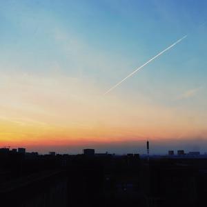 少妇性BBB搡BBB爽爽爽欧美
