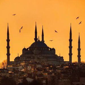 少妇性BBB搡BBB爽爽爽欧美
